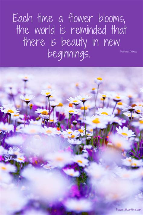 Spring Bearing: A Blossoming of Hopes and New Beginnings