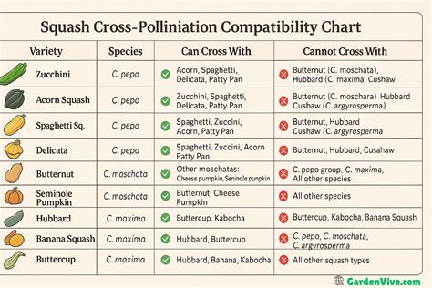 Squash Cross Pollination Chart
