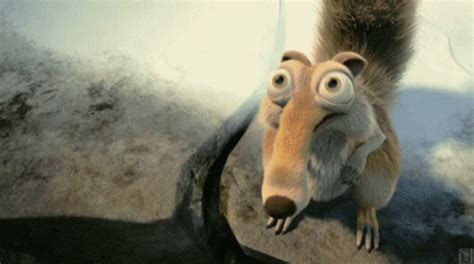 Squirrel Ice Age GIF: A Guide to Mastering Lifes Challenges