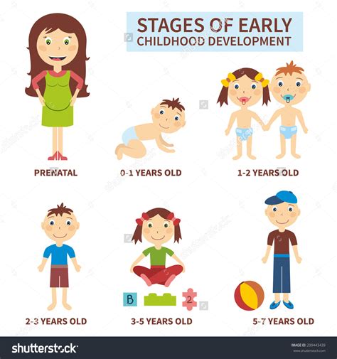 Stages Of Development Chart