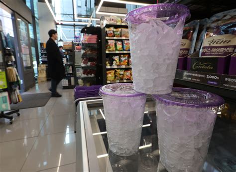 Start Your Ice in a Cup Business Today and Join the Billion-Dollar Industry