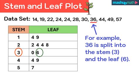 Stem And Leaf Template