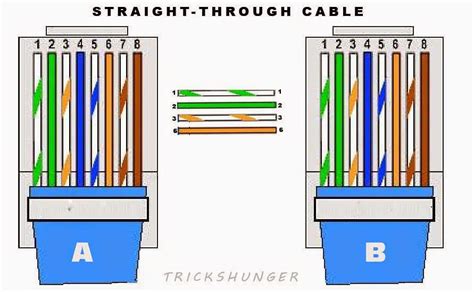 Straight Through Network Cable Wiring Diagram