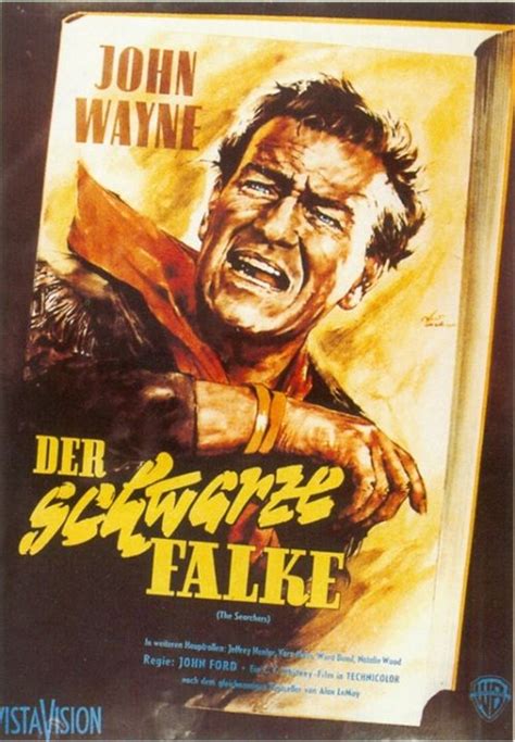 Streaming Der schwarze Falke
