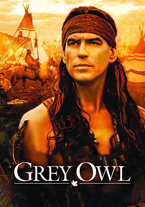 Streaming Grey Owl