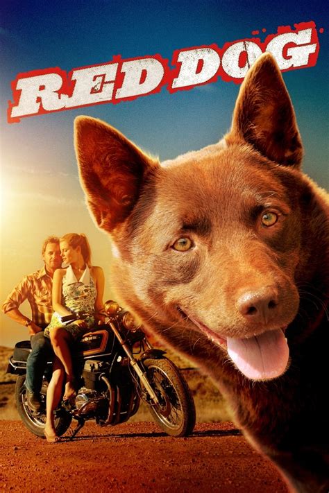Streaming Red Dog