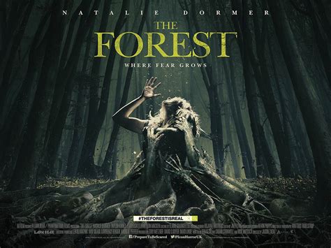 Streaming The Forest