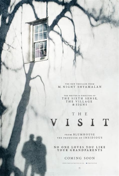 Streaming The Visit