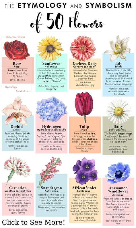 Strength Flower Symbolism Chart