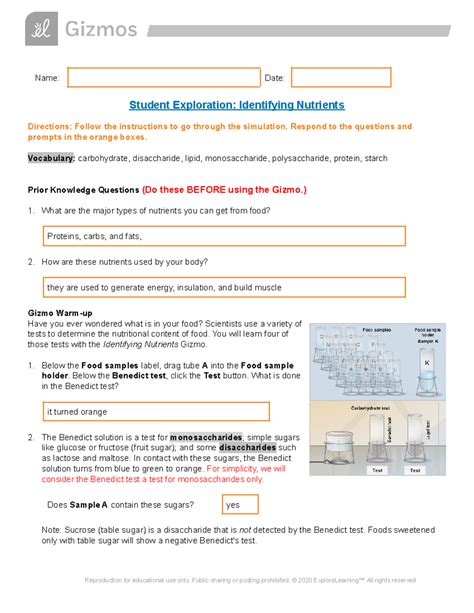 Student Exploration Identifying Nutrients Gizmo Answer Key Fh Ead Faveni Edu Br