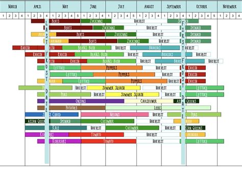 Succession Planting Chart Zone 7