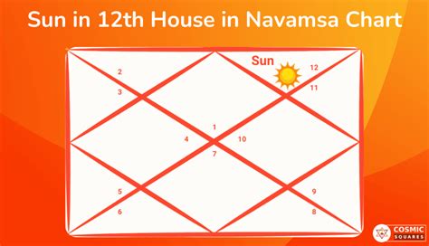 Sun In 12th House In D10 Chart
