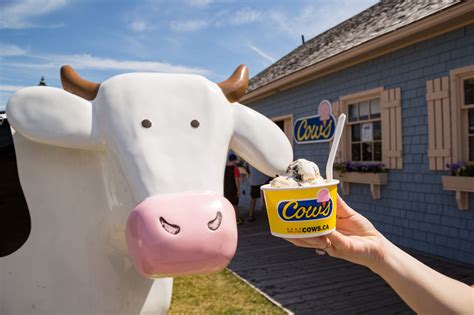 Super Cow Ice Cream: A Dream Come True