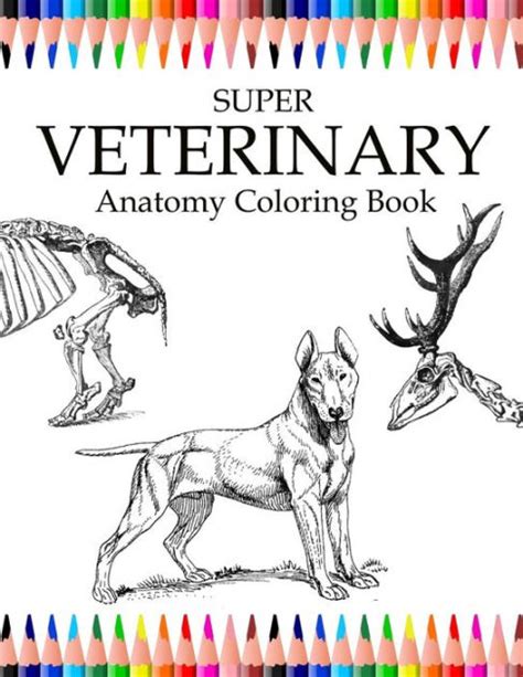 Download Book Animals Anatomy Coloring Book Files Natalia Perlei Edu Mx