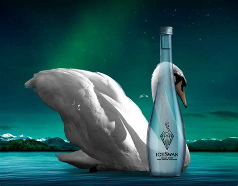 Swan Ice: The Purity and Elegance of Natures Creation