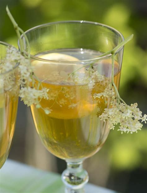 Te med citron: Den ultimative guide til den forfriskende drik