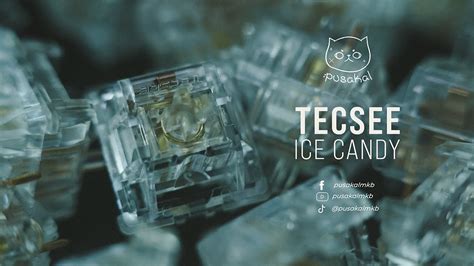 Tecsee Ice Candy: A Journey of Sweet Delight
