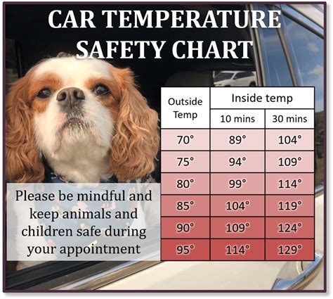 Temperature In Car For Dogs Chart