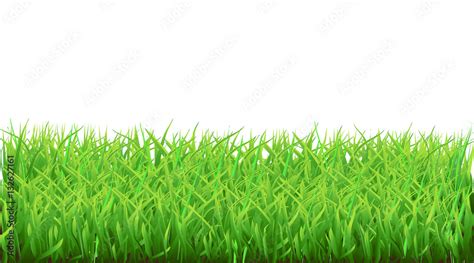 Template For Grass