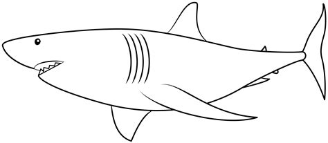 Template Of A Shark