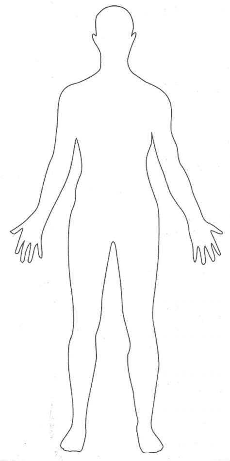 Template Of Body Outline