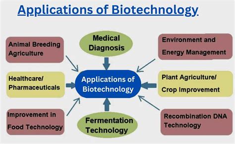 The Application Of Biotechnology To Industrial Sustainability Oecd - the app!   lication of biotechnology to industrial sustainability oecd publishing