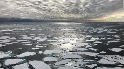 The Arctic Cry: A Poignant Tale of Arctic Ice Meltdown Unraveled