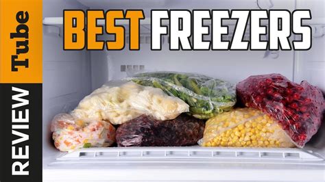 The Best Freezer for Your Ice Business: A Comprehensive Guide