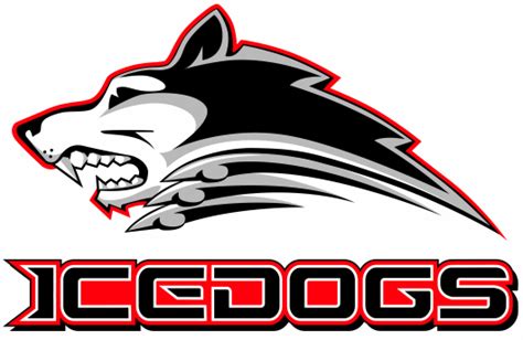 The Bozeman Ice Dogs: Our Pride, Our Passion, Our Team