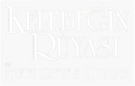 The Butterfly's Dream