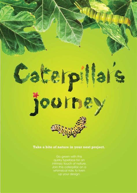 The Caterpillars Journey: A Cross-Referential Exploration