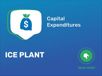The Comprehensive Guide to Ice Plant Business Costs