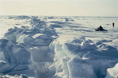 The Cradle of Ice: Unraveling the Secrets of the Arctic