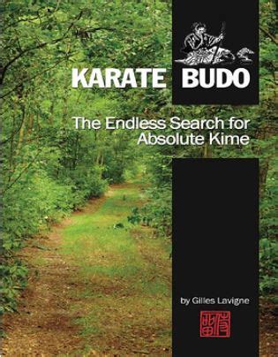 The Endless Search For Absolute Kime Karate Budo English - 