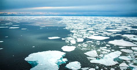 The Enigmatic Arctic Snow and Ice: Its Significance and Impact on Life