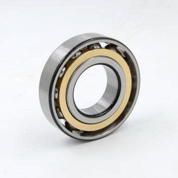 The Extraordinary World of 304 Bearings: Precision, Performance, and Value