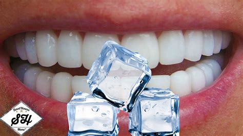 The Fascinating World of Ice Chewers: Exploring the Enigma and Its Impacts