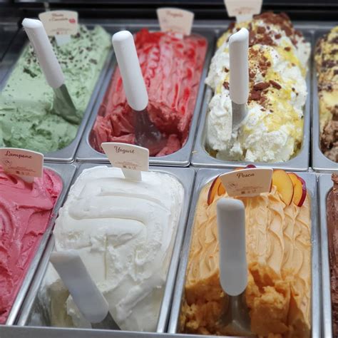 The Heartbeat of Every Ice Cream Haven: The Equipo de Heladería