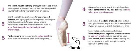 The Mystique of the Pointe Shoe Shank: A Symphony of Strength and Grace