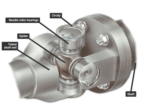 The U Joint Bearing: A Comprehensive Guide