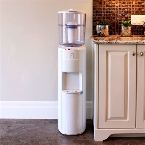 The Unquenchable Thirst: A Journey to Find the Perfect Ice Dispenser
