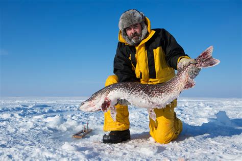 The Unseen World of Ice Fishing Fish: An Emotional Journey