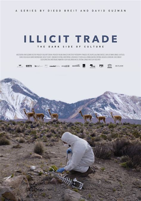 The illicit Producers