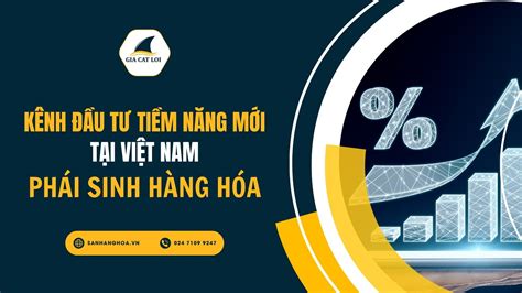 Tid I Vietnam: Kênh đầu tư tiềm năng hay rủi ro ngầm ẩn?