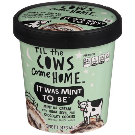 Till the Cows Come Home: A Comprehensive Guide to Ice Cream Indulgence