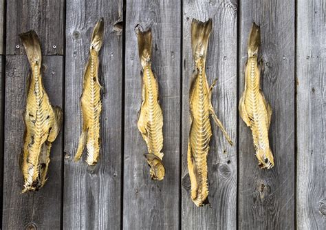 Torkad fisk: Mer än bara mat, en resa mot välbefinnande