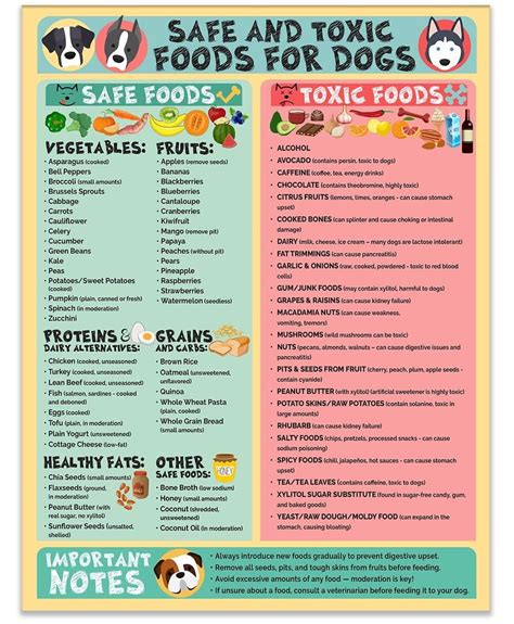 Toxic Foods For Dogs Chart
