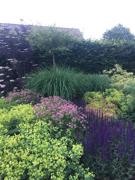 Trädgårdsbältet: En grönskande oas i din trädgård