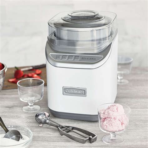 Transform Your Everyday Moments with the Culinary Symphony of a Gourmet Ice Maker