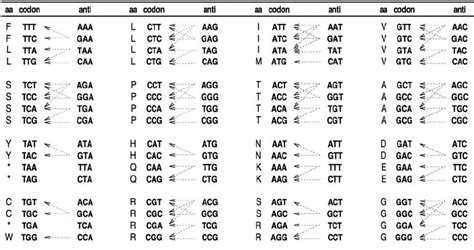 Trna Anticodon Chart